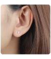 CZ Stud Earrings STS-3203